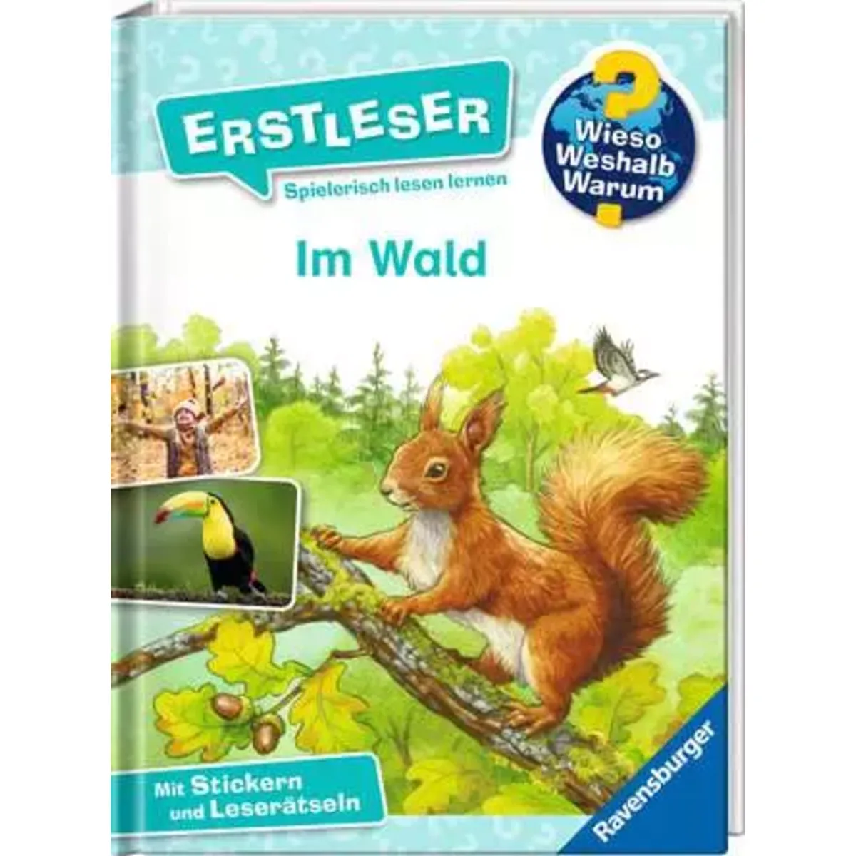 Wieso? Weshalb? Warum? Erstleser, Band 17 – Im Wald (2. Klasse, Erstlesebuch ab 7 Jahren - mit Stickern und Leserätseln) (Erstleser, 17) - Bild 6