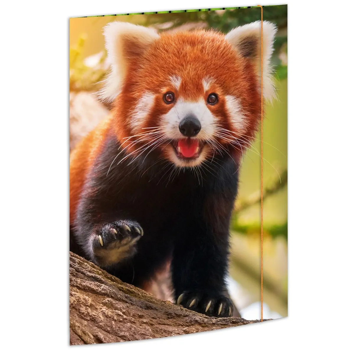 RNK Verlag Zeichenmappe aus stabilem Karton, “Red Panda” fr DIN A3