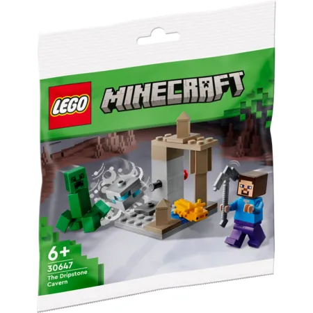 LEGO® Minecraft™ 30647 Die Tropfsteinhöhle - 0