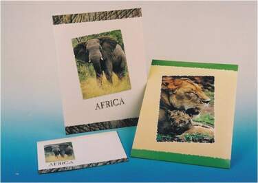 Rheita Briefpapier Set Mappe 10 Blatt & 10 Briefumschläge mit Elephantenmotiv - 0