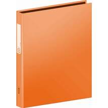 Produktbild BRUNNEN Ringbuch A4 2-Ring Uni orange