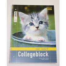 Produktbild Idena Collegeblock mit Katzenmotiv DIN A4, liniert, 5 Stück