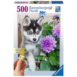 Ravensburger Puzzle Putziger Husky, 500 Teile - 0